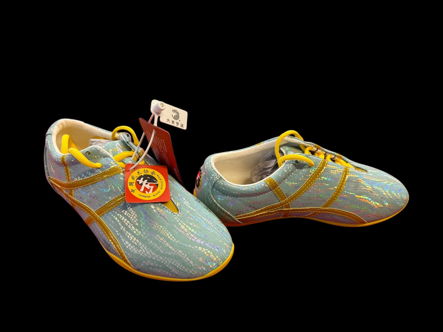 Martial Arts Shoes