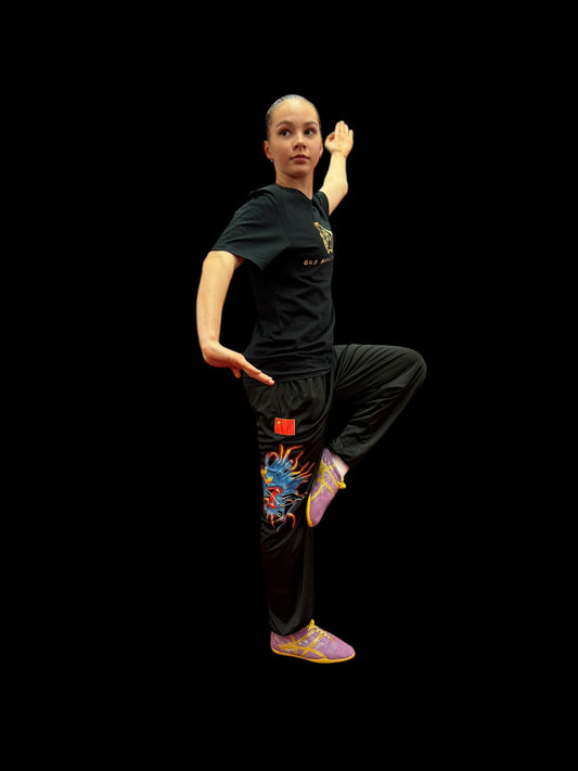 Kung Fu pants with Dragon Embroidery
