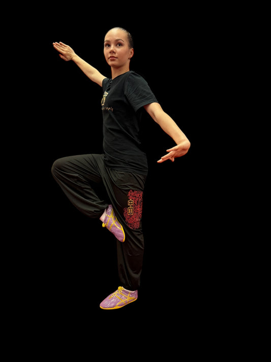 Kung Fu pants with Red Dragon Embroidery